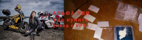 мяу мяу мука Баксан